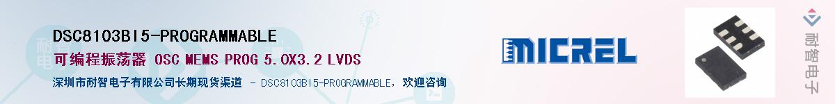 DSC8103BI5-PROGRAMMABLE����(y��ng)��-�������