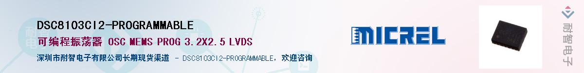 DSC8103CI2-PROGRAMMABLE������-�������