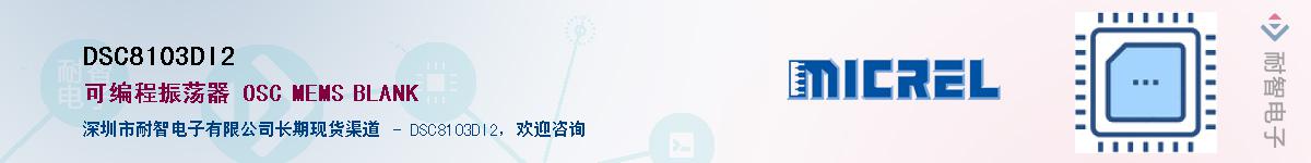 DSC8103DI2����(y��ng)��-�������