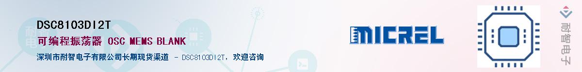 DSC8103DI2T������-�������