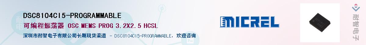 DSC8104CI5-PROGRAMMABLE������-�������