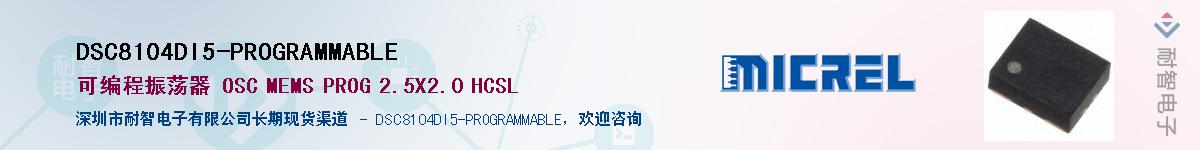 DSC8104DI5-PROGRAMMABLE������-�������