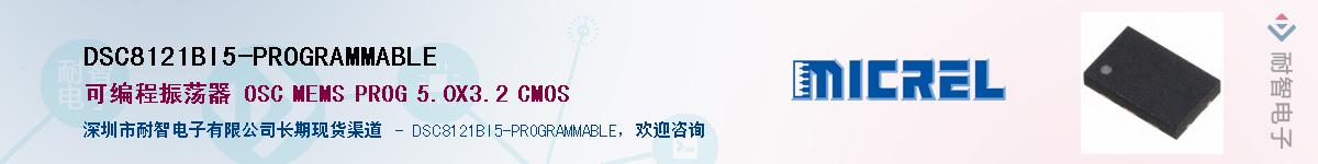 DSC8121BI5-PROGRAMMABLE������-�������