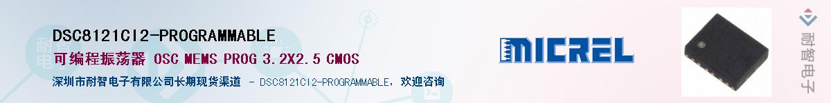 DSC8121CI2-PROGRAMMABLE������-�������