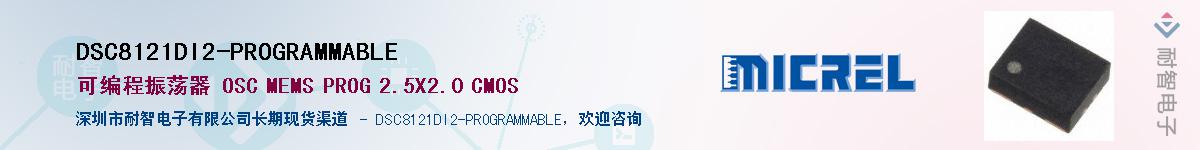 DSC8121DI2-PROGRAMMABLE����(y��ng)��-�������