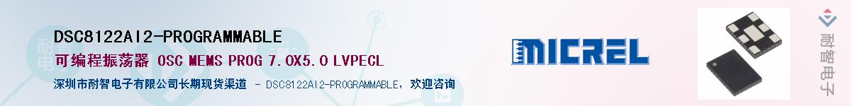 DSC8122AI2-PROGRAMMABLE������-�������