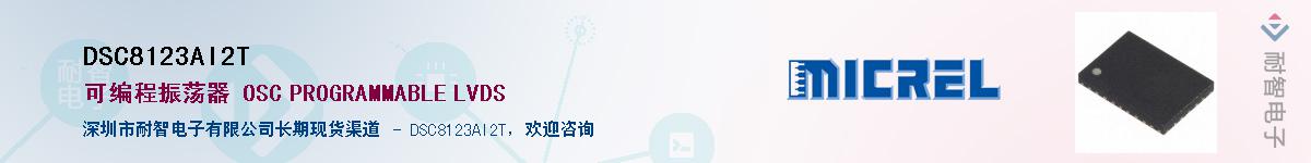 DSC8123AI2T������-�������