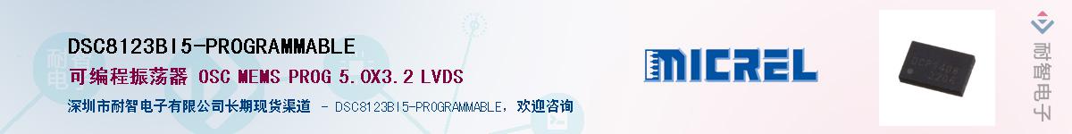 DSC8123BI5-PROGRAMMABLE������-�������