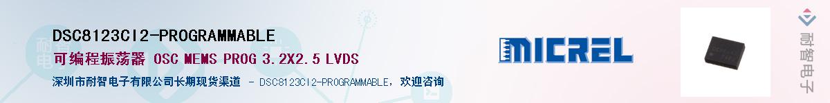 DSC8123CI2-PROGRAMMABLE������-�������