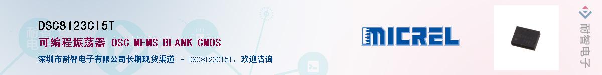 DSC8123CI5T����(y��ng)��-�������