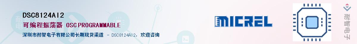 DSC8124AI2������-�������