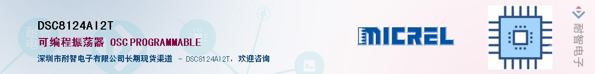 DSC8124AI2T������-�������