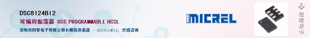 DSC8124BI2������-�������