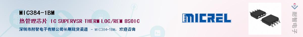 MIC384-1BM������-�������