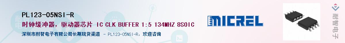 PL123-05NSI-R����(y��ng)��-�������