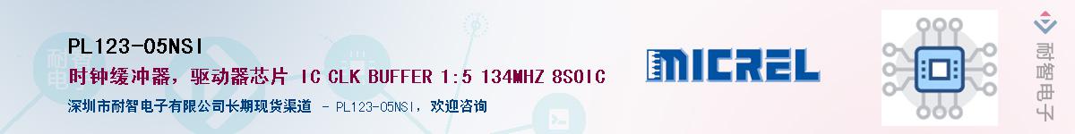 PL123-05NSI������-�������