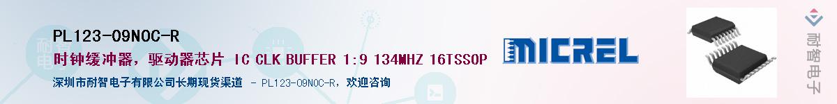 PL123-09NOC-R������-�������