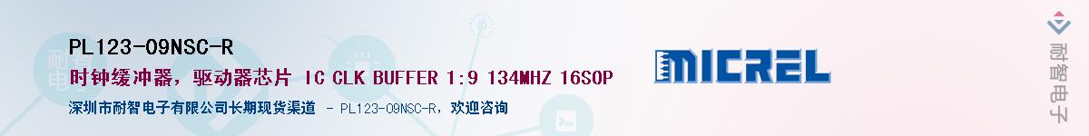 PL123-09NSC-R������-�������