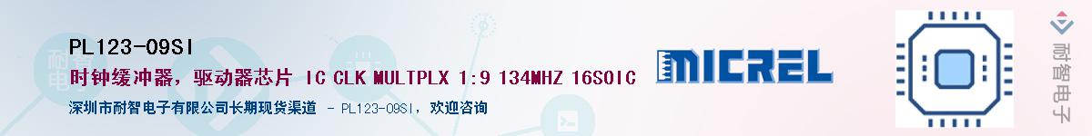 PL123-09SI������-�������