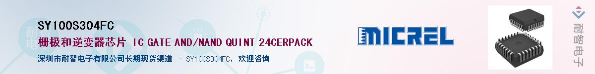 SY100S304FC����(y��ng)��-�������