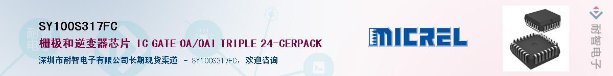 SY100S317FC����(y��ng)��-�������