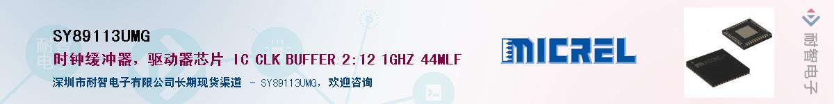 SY89113UMG������-�������