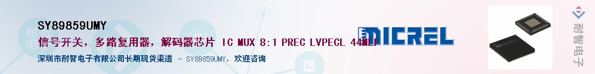 SY89859UMY������-�������