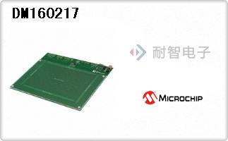 DM160217