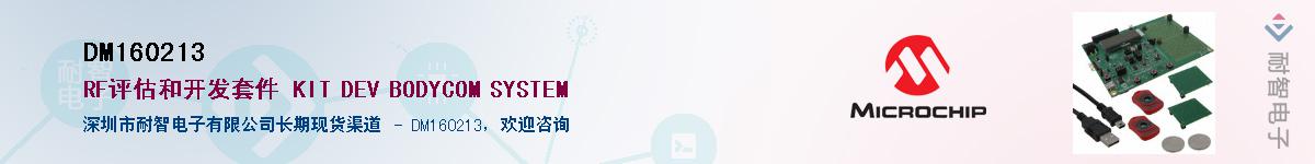 DM160213������-�������