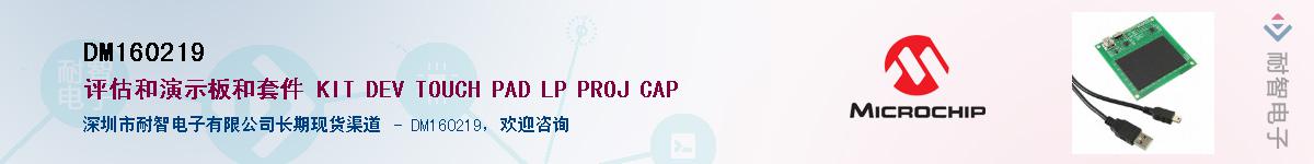 DM160219������-�������