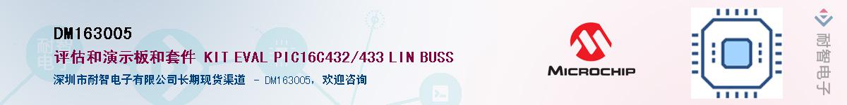 DM163005������-�������