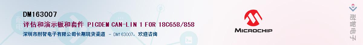 DM163007������-�������