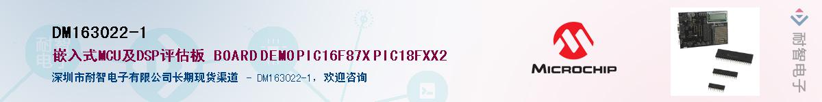 DM163022-1������-�������