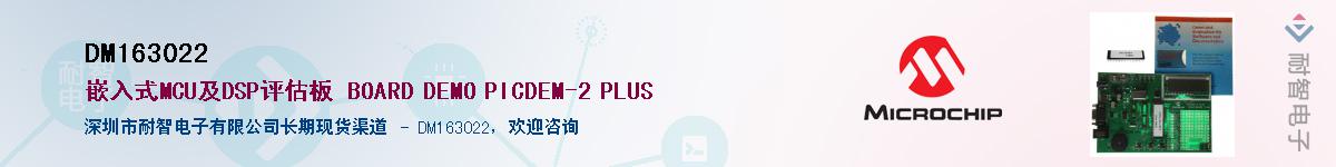 DM163022������-�������