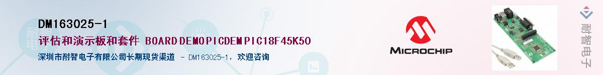 DM163025-1������-�������