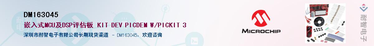 DM163045������-�������