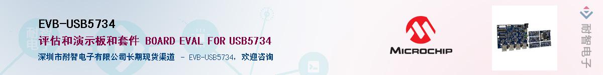 EVB-USB5734������-�������