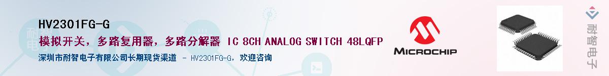 HV2301FG-G������-�������