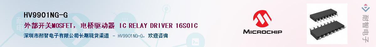 HV9901NG-G������-�������