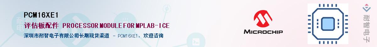 PCM16XE1������-�������