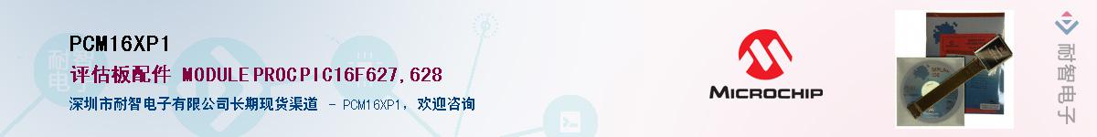 PCM16XP1������-�������