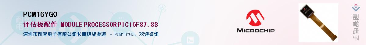 PCM16YG0������-�������