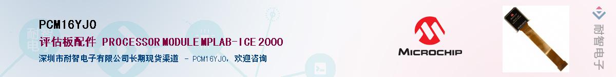 PCM16YJ0������-�������