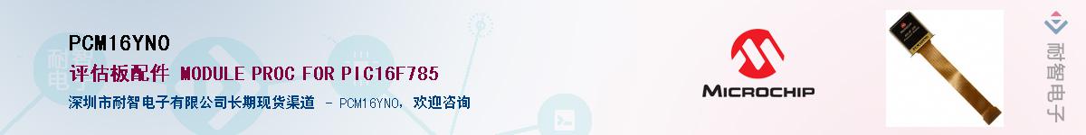 PCM16YN0������-�������