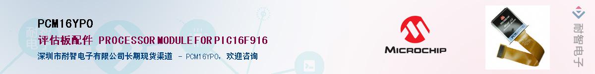 PCM16YP0������-�������