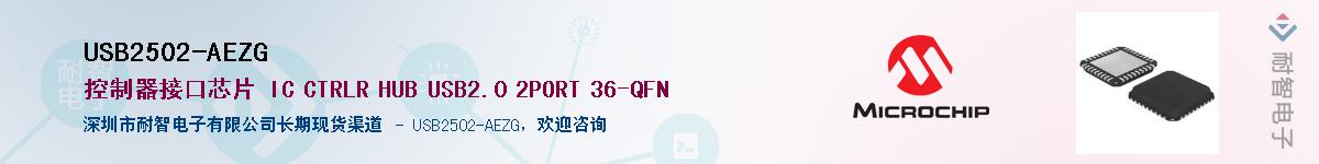 USB2502-AEZG������-�������