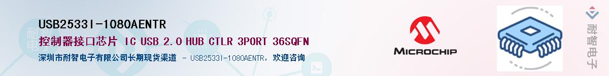 USB2533I-1080AENTR������-�������