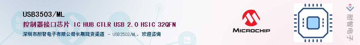 USB3503/ML������-�������