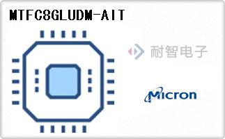 MTFC8GLUDM-AIT