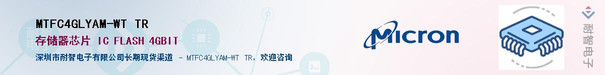 MTFC4GLYAM-WT TR������-�������